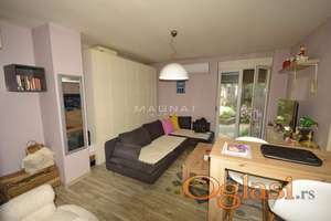 Lion  - Govozdićeva ID#5163