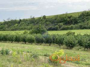 Prelepo imanje - Irig