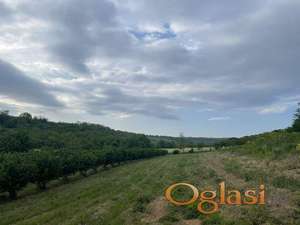 Ekskluzivno imanje od 7114m2