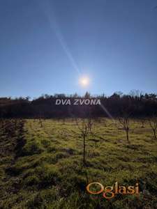 VELIKA PARCELA U ČORTANOVCIMA - 84 ARA SA VOĆNJAKOM, STRUJOM I VODOM!