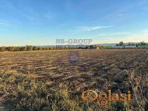 Odličan plac 2876m2 Futog