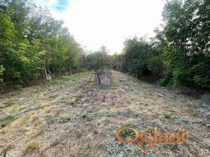 Prodaje se poljoprivredno zemljište površine 734m2 u Veterniku kod Lipovog Gaja.