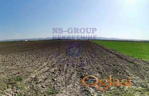 Odlicno poljoprivredno zemljiste Futog