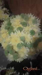 Hrizanteme domace cvece buketi