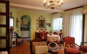 Novi Sad, Telep, Milana Savića, 4.0, 341m2