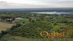 Krčedin Građevinsko zemljište 11.500m2 HITNO!