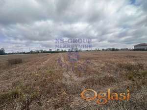 Na prodaju izuzetan plac u Rumenci,