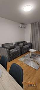  LUKSUZNA PET FRIENLDY GARSONJERA SA NOVIM NAMEŠTAJEM U MIRNOM KRAJU TELEPA