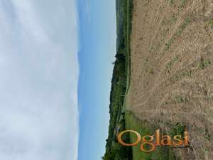 Plac 1500m2