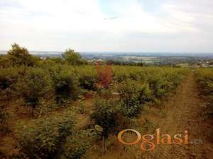 Veliki plac za na obroncima Kosmaja, Mladenovac, Koraćica #P619 #1737