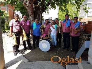 Trubaci leskovac 0631938038