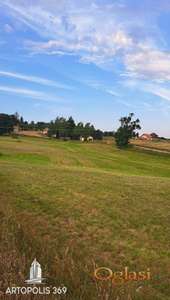 Sjajna lokacija, 3.5km od centra Zlatibora ID#1087