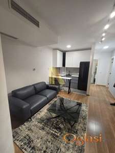 Namešten jednoiposoban stan u Pupinovoj palati