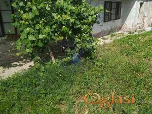 Prodaje se kuca u Petrovaradinu