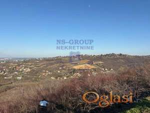 Poljoprivredno zemljište površine 13.462 m² u Ledincima