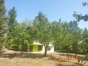 Čortanovci vikendica 77m2 HITNO!