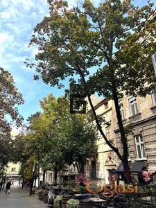 Šetačka zona-Palas-Topličin venac, raritetna prlika! ID#1800