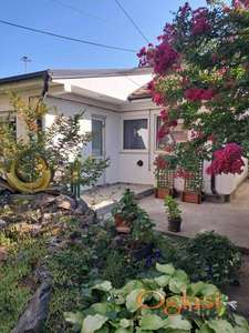 ODLIČNA PET FRIENDLY TROSOBNA KUĆA SA DVORIŠTEM U PETROVARADINU