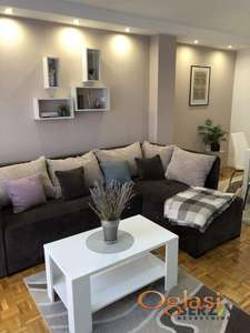 LEPO OPREMLJEN DVOSOBAN STAN NA DETELINARI