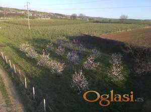 Plac 4938m2 Karagača