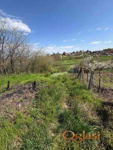 Inđija građevinsko zemljište 806m2