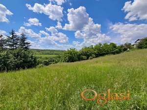 Odličan plac - šuma 4300m2, na putu za Andrevlje, Čerević