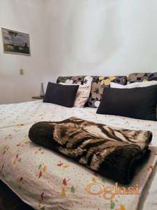 Stan na dan Novi Sad Detelinara