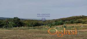 Fantastican plac na Alibegovcu!