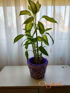 Unikatna ljubičasta saksija za cveće ručni rad