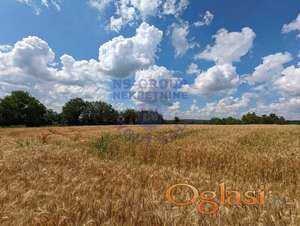 Plac u Bačkoj Palanci