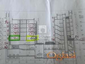 ZVEZDARA Bulbulder DIMITRIJA TUCOVIĆA ID#1573