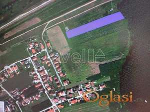 PETROVARADIN - SADOVI - 6195.00 m2