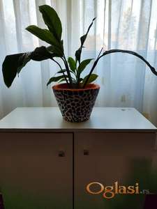 Dekorativna cbraon saksija za cveće , ručni rad mozaik