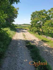 Krčedin Janda zemljište 3496m2 HITNO!