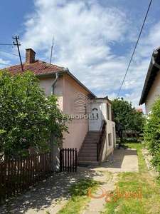 Baštovanska, Surčin ID#7537