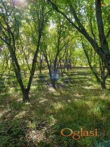 Plac,odlican,Sremski Karlovci