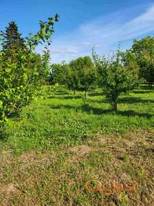 Prodajem plac u Vodnju, 20a