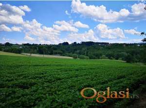NA PRODAJU ATRAKTIVNO ZEMLJIŠTE 1,47 ha – TRŠIĆ