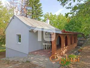 Fruška gora - Maradik - Banstol ID#1554