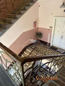 Zemun-Centar ID#1409