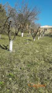 Odllican pllac 1549m2