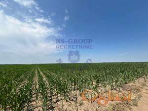 poljoprivredno zemljište - Rumenka