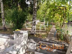 Dvosoban stan sa dvorištem u Žarkovu, izdavanje! ID#1421