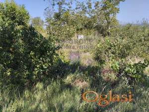 Poljoprivredno zemljište 4229m2 Beočin.