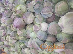 Šareni kupus Golubarac