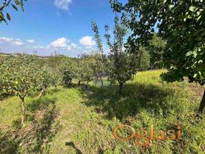 Plac - Petrovaradin, Alibegovac  1418m2