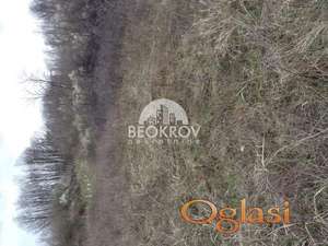 Beli potok 26Ar pored asfalta ID#1278