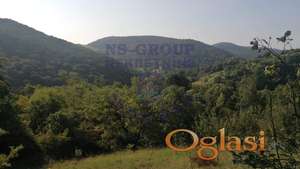 ******GRADJEVINSKO ZEMLJIŠTE RAKOVAC 5596m2****