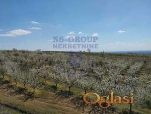 Izuzetno građevinsko zemljište ukupne površine 19.286 m² u Irigu!