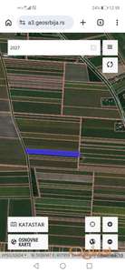 Prodajem poljoprivrednu zemlju Čenej